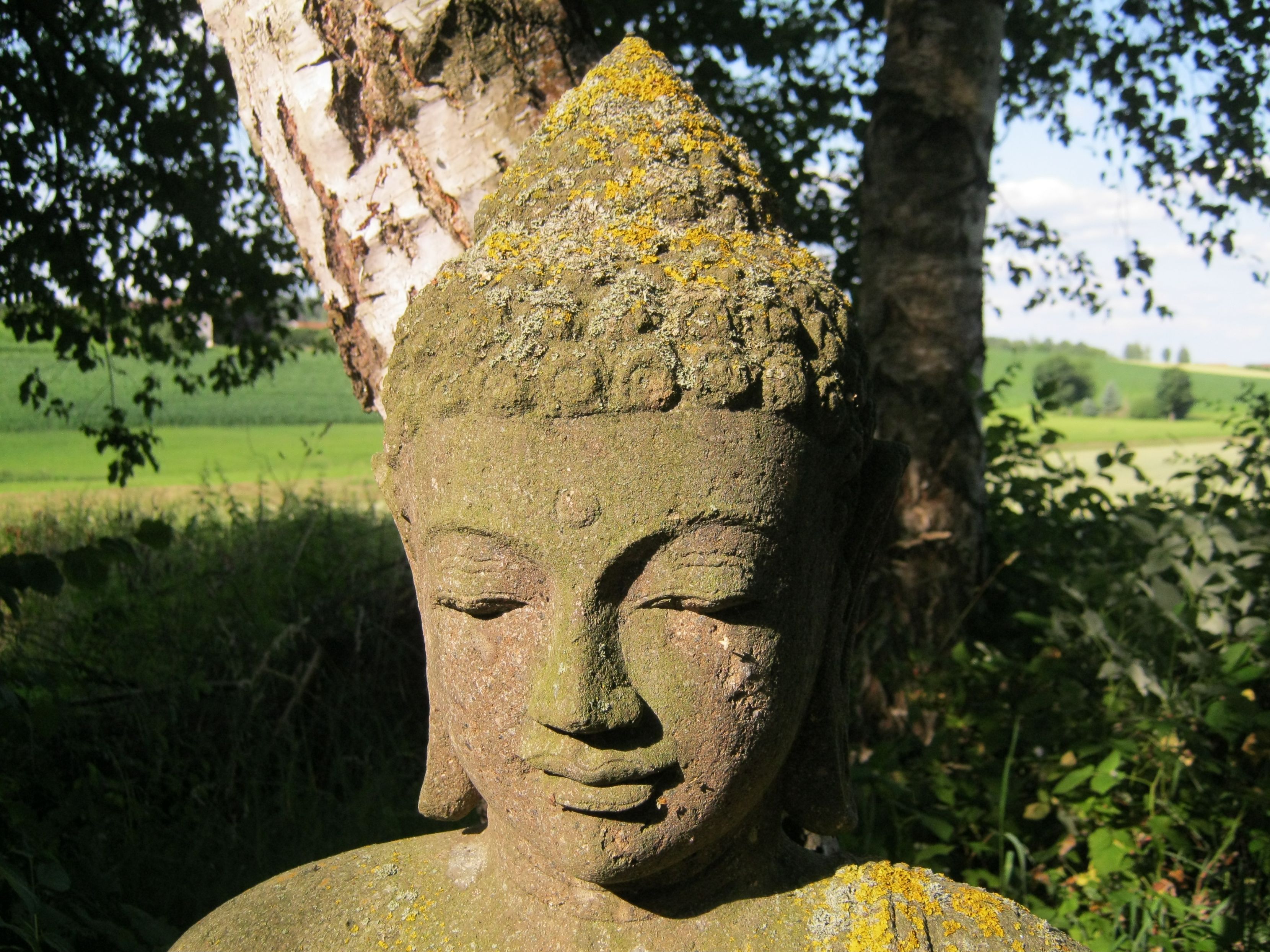 Buddha am Teich